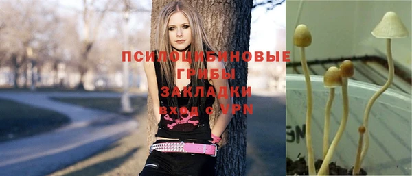 дурь Баксан